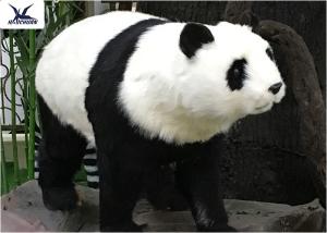 Quality Theme Park Waterproof Life Size Panda Statue Animatronic Animal Model wholesale