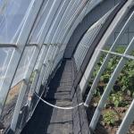 Arched Roof Hydroponics Growing System in Sunlight Greenhouse with Steel