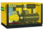 Professional Reliable 220kw Twin Screw Compressor CE Certificate