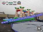 PVC Inflatable Single Lane Slip , Inflatable Water Slide Single Slip