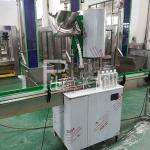 Plastic / PET Screw Cap Bottle Sealing Machine With Stainless Steel And High