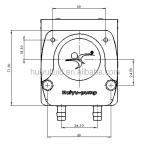 Mini washer detergant dosing pump