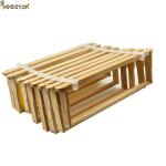 Beekeeping Apiculture Equipment Beehive Frame Spacers Plastic For Beekeeper