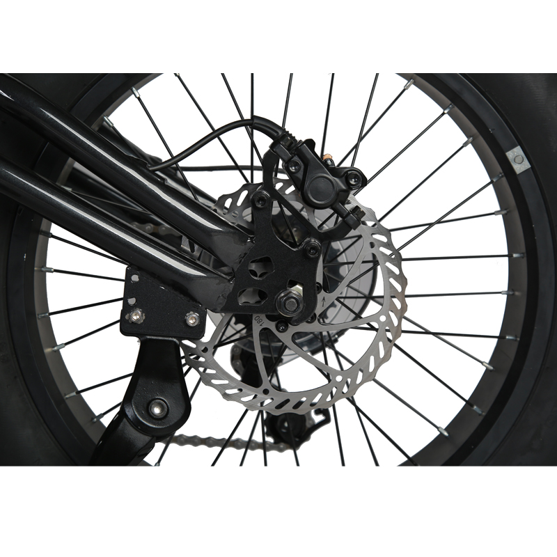 48v 750w Mid Drive Motor E-Bike with Aluminum Alloy Frame and 22.5 Ah Battery Capacity