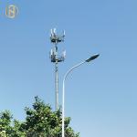 20FT Electric Street Light Pole Street Lamp Pole Single Or Dual Arms