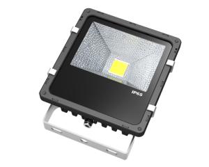 Quality IP65 30w led flood light wholesale