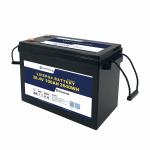 Bely Light Weight Lifepo4 Battery 36v 100ah IP65 Protection For Consumer