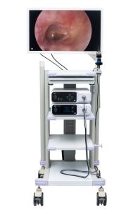 Quality Medical HDMI Full HD Endoscope Camera System Tower DJSXJ-IIa wholesale