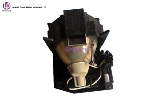 Quality Professional Christie Projector Lamp 003-005160-01 DT01725 For DHD851 , DWU851 , DWX851 wholesale