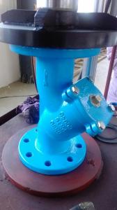 Quality DIN y strainer flanged ends wholesale