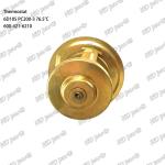 Thermostat 6D105 PC200-3 600-421-6210 Engine Part
