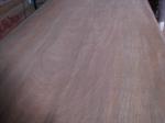 Rotary Cut/Peeled Gurjan Wood Veneer Sheet