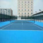 Non Pollution Polyurethaning Outdoor Sports Surfaces High Elasticity