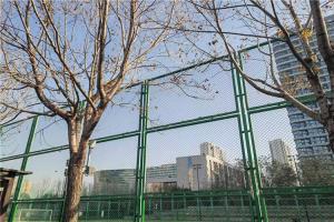 Quality Tennis Court Chain Link Fences 10 Ft High Vinyl Coated Black Or Green Fro Market wholesale