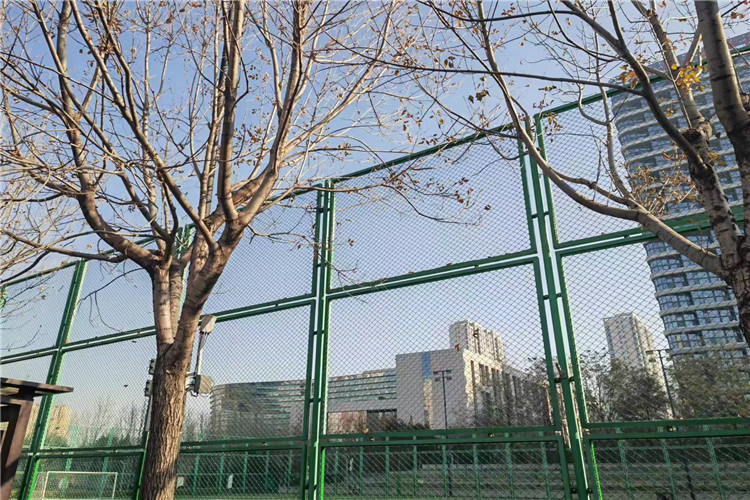 Hot Sales Residential Steel Chain Link Fence Supplies Form China