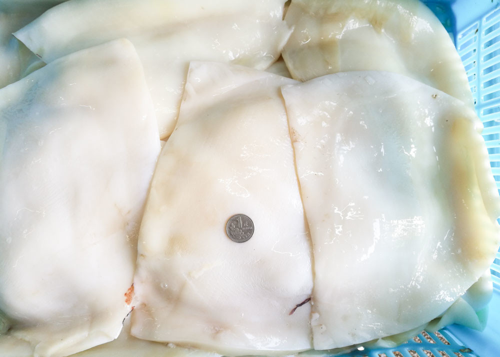 Equator suqid fillet, frozen giant squid fillet 1000g 2000g Size