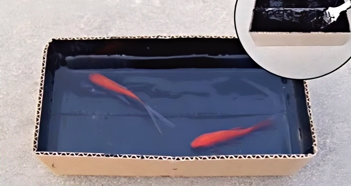 Liquid waterproofing membrane weather - resistant cold - applied sprayable high - elastic