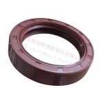 75x100x20mm FAST Gearox Oil Seal 2 Seal Lips Truck Oil Seal