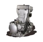 LIFAN/LONCIN/ZONGSHEN/DAYANG 300cc Motorcycle Tricycle Engine Electric/Kick