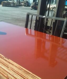 Quality WBP Melamine Port Hardwood Faced Plywood For Tall Frame Building 500~680kg/M3 wholesale
