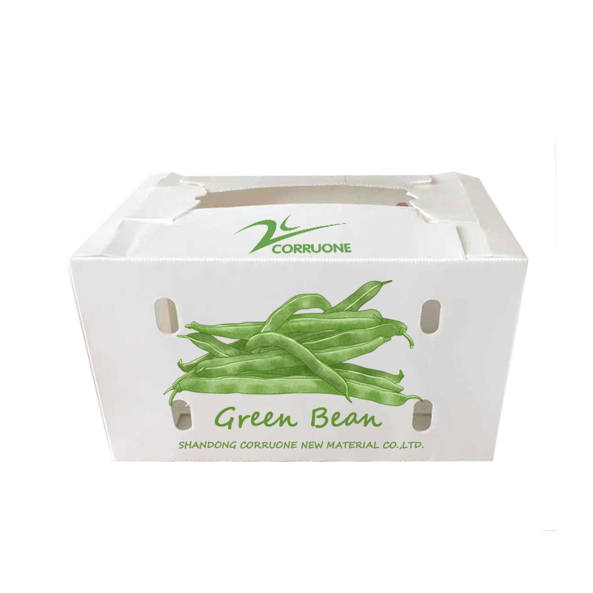 PP Corrugated plastic box vegetable fruit box