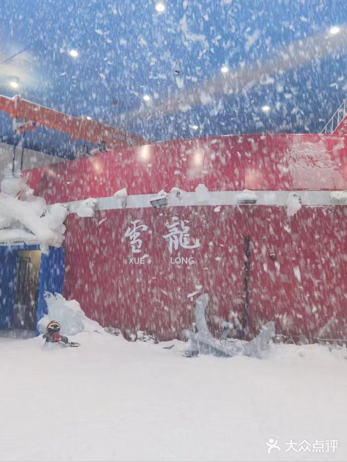 270 KG Snow Falling Machine for Spa Party Year Christmas Affordable and Versatile