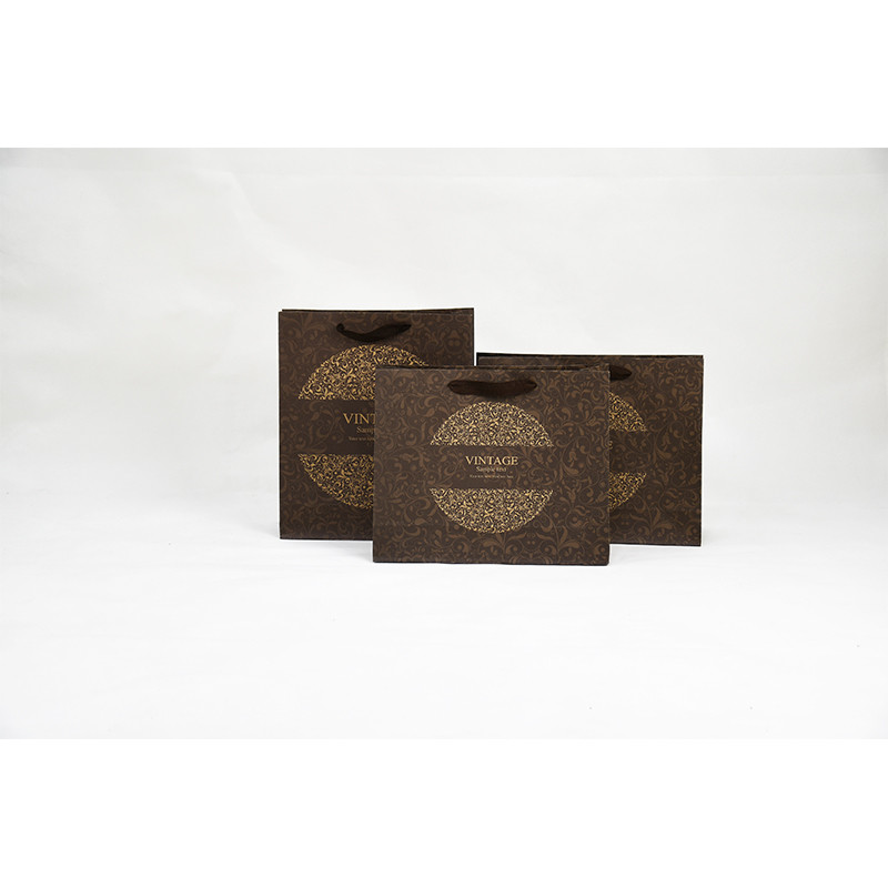 Eco Friendly Paper Twist Handle Bags 250g 300g Weight Customized Color Simple Design
