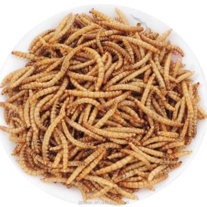 Quality Mealworm-based Worm Meal - High in Protein 57% and Low in Fat 25% wholesale