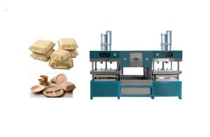 Quality Oil Proof Pulp Molding Machine To Produce Salad Box wholesale