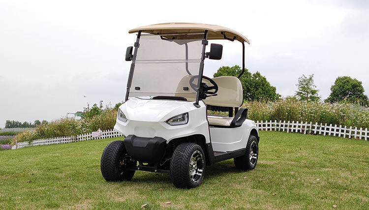 4x4 2 Seater Electric Ezgo Golf Cart 72V 5kw Mini Electric Club Car