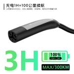 E-Mingze Factory's High Performance 7KW Tesla Car Charger 32A Portable