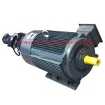 Y2 Series Electric Motor for Pump and Blower with High Efficiency Energy Saving