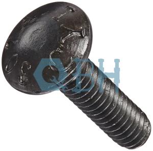GR2 Bolt Round Head Square Neck