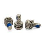 Stainless Steel Snake-Eye Security Screw – Double Spring & Flat Washers with