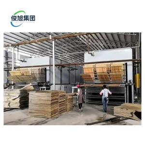 Quality Wood Veneer Dryer with Fast Drying Speed and Low Energy Consumption wholesale