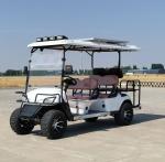 6 Seater Golf Cart Logo Printing Customized Adult Rechargeable Tourist