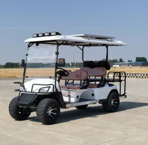 Quality 6 Seater Golf Cart Logo Printing Customized Adult Rechargeable Tourist Sightseeing Car wholesale