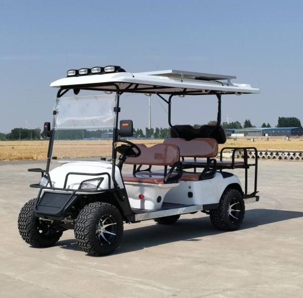 6 Seater Golf Cart Logo Printing Customized Adult Rechargeable Tourist