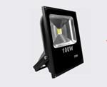 Quality Garden LED Outdoor Flood Lights 100 Watt 2700K Color Temparature wholesale