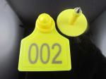 sell animal pig ear tag ,sheep ear tag,high51*with 43mm
