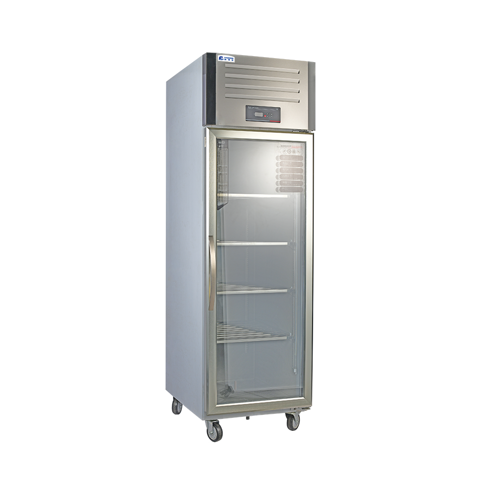 Commercial Vertical Freezer for Kitchen Cooling Large-Capacity Stainless Steel