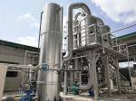 Sterilizing SS316 Pineapple Processing Line 1500T/Day