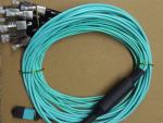 3.0mm ZGT Female MTP MPO Fiber Cable Assemblies
