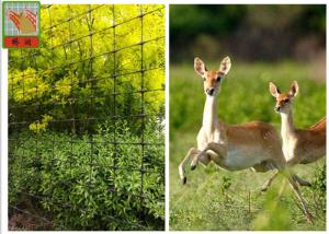 Quality 1.5 M Height PP Plastic Deer Barrier Netting / Garden Fence To Keep Deer Out wholesale