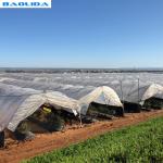 Clear Sheeting Roof Polythene Cover 80 Microns Multi Span Greenhouse