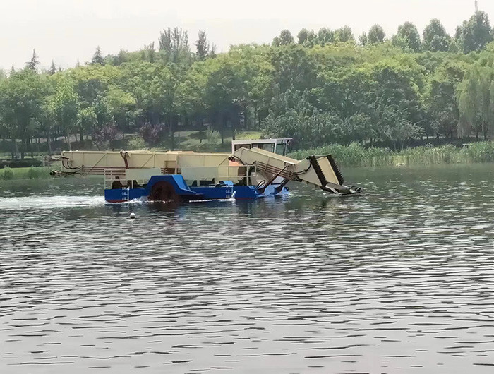 Gear Drive Aquatic Weed Harvesting Machine Diesel Engine With 0.55 M Empty Draft For Duckweed Enteromorpha