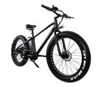 500W 750W Fat Tyre Electric Sport Bike With Double Disc Brake LCD Display High