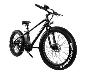 Quality 500W 750W Fat Tyre Electric Sport Bike With Double Disc Brake LCD Display High Power wholesale