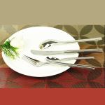 NC 116 CCTV stainless steel hotel cutlery/flatware/dinnerware set