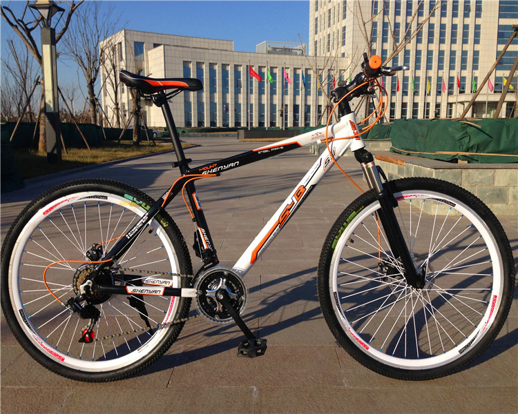 Hot sale OEM 21 speed double wall rim black hi ten steel 26 size mountain bicycle with suspension